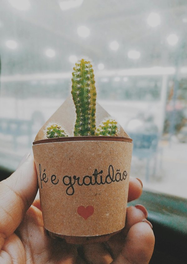 Offrez un cactus personnalisable : le cadeau parfait !